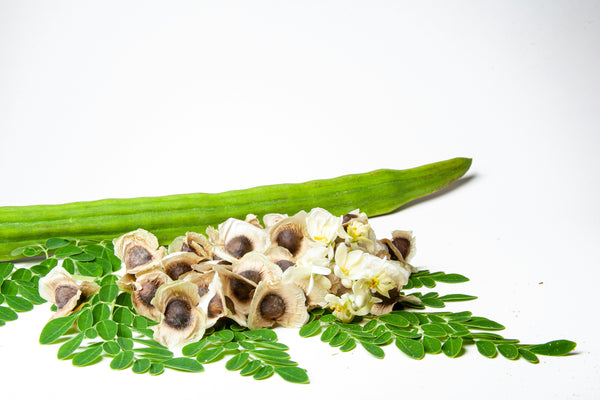 Moringa Image